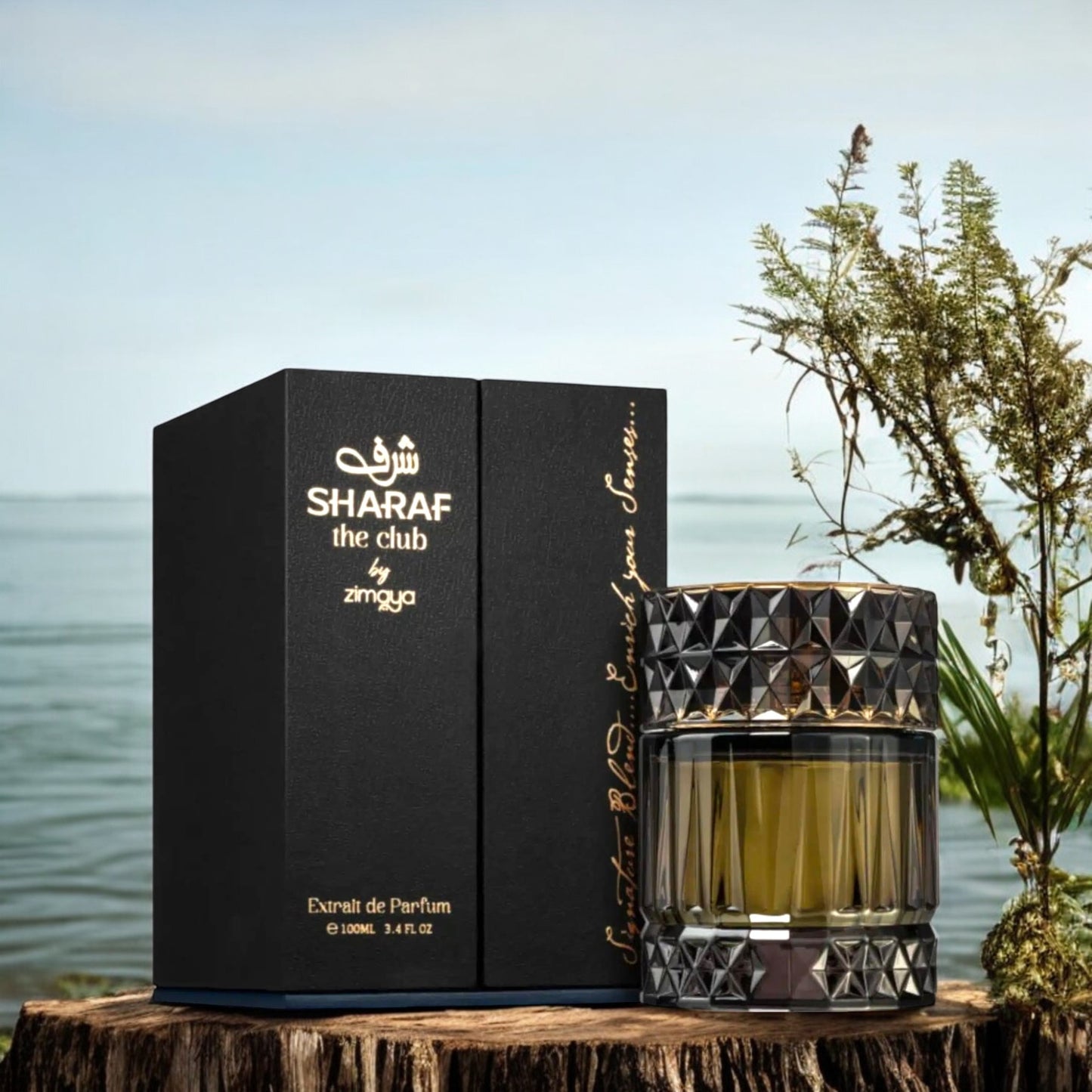 Sharaf The Club by Zimaya Afnan